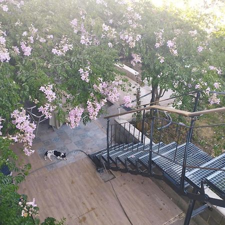 La Fabriqueta Apartament Riudecanyes ภายนอก รูปภาพ