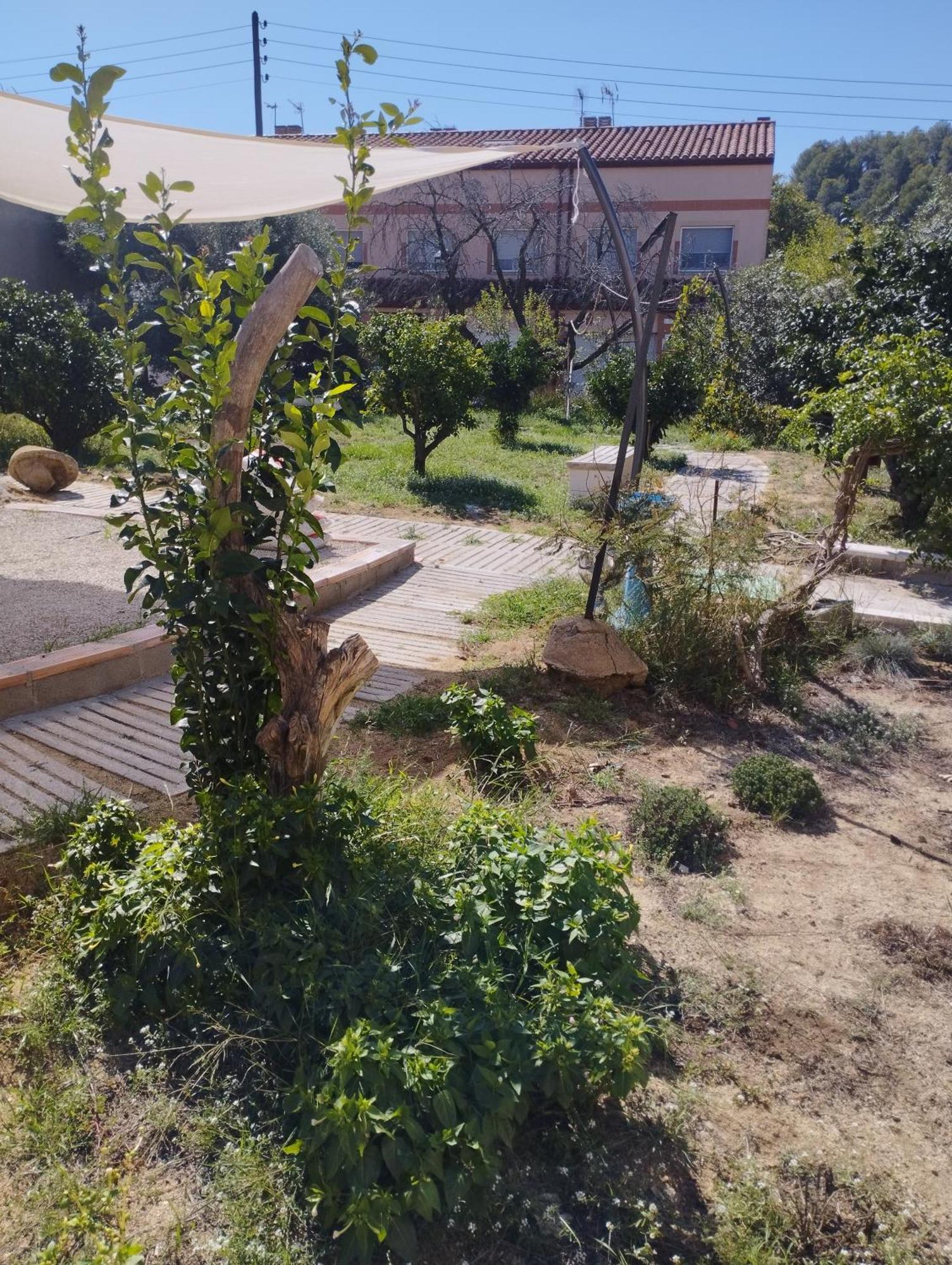 La Fabriqueta Apartament Riudecanyes ภายนอก รูปภาพ